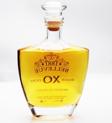 acheter L'esprit en verre du silex 700ml met la carafe en bouteille Kheops 226mm avec Carnette Cork Neck online manufacture